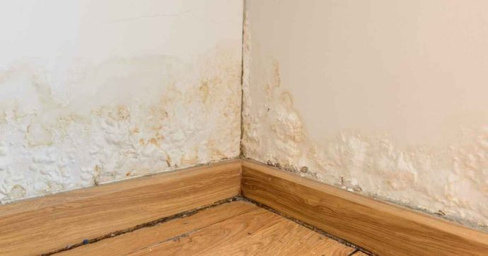 Le mur présente des efflorescences de salpêtre blanches et poudreuses 