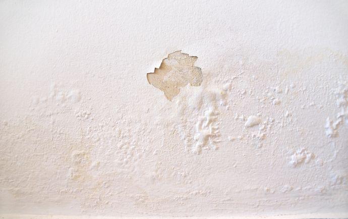 Mur dont la peinture s’écaille suite à un problème d’humidité dans la maison